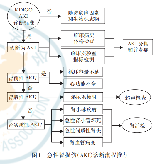 共識(shí)速讀|中國急性腎損傷臨床實(shí)踐指南