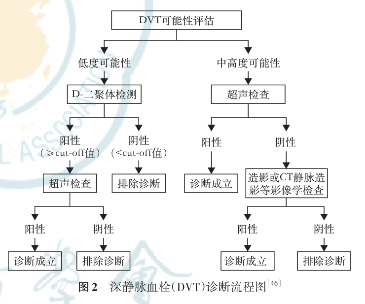 干貨快碼！D-二聚體9科室的臨床應(yīng)用